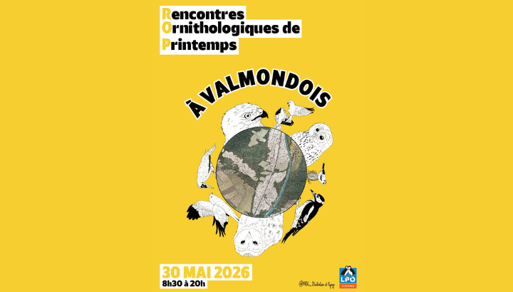 Rencontres ornithologiques de Printemps